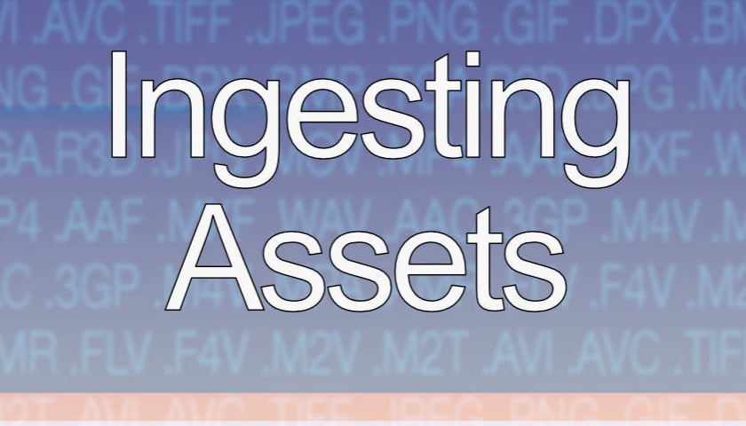 Ingesting Assets - Creating a Mirror Image | Accuskills