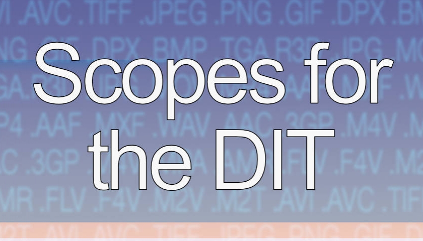 Video Scopes for the DIT | Accuskills